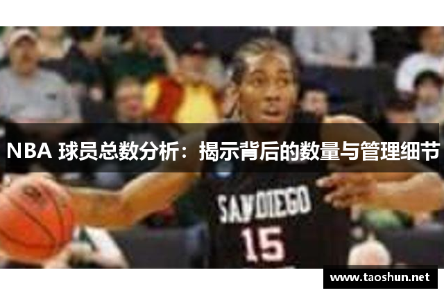 NBA 球员总数分析：揭示背后的数量与管理细节