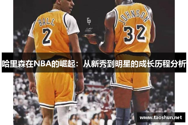 哈里森在NBA的崛起：从新秀到明星的成长历程分析