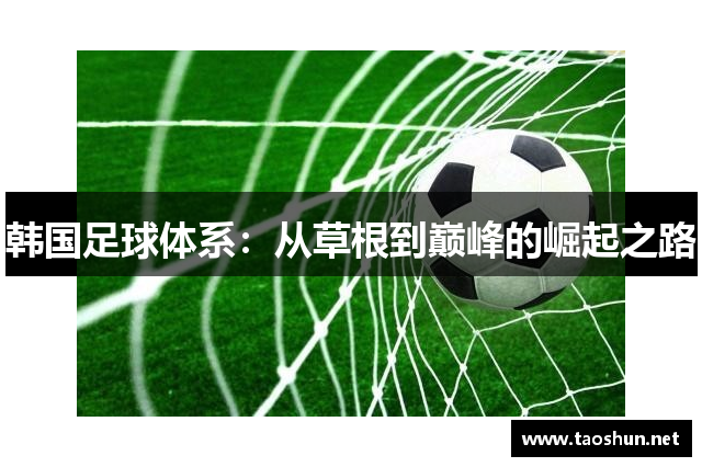 韩国足球体系：从草根到巅峰的崛起之路
