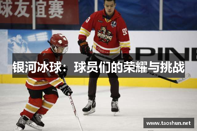 银河冰球：球员们的荣耀与挑战
