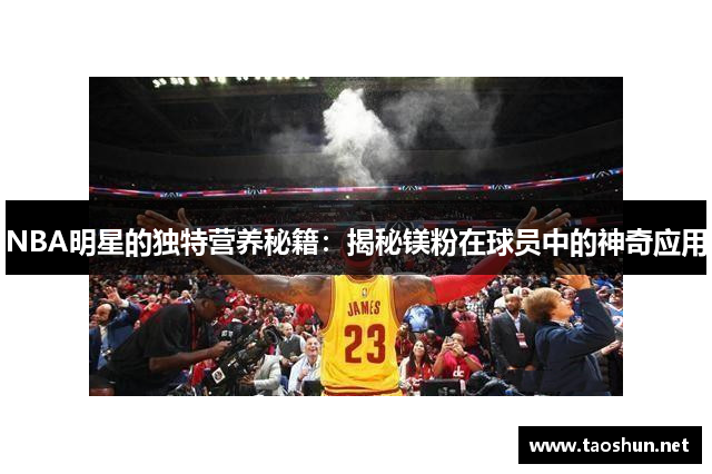 NBA明星的独特营养秘籍：揭秘镁粉在球员中的神奇应用