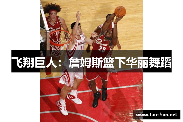 飞翔巨人：詹姆斯篮下华丽舞蹈