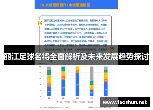 丽江足球名将全面解析及未来发展趋势探讨