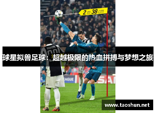 球星拟兽足球：超越极限的热血拼搏与梦想之旅